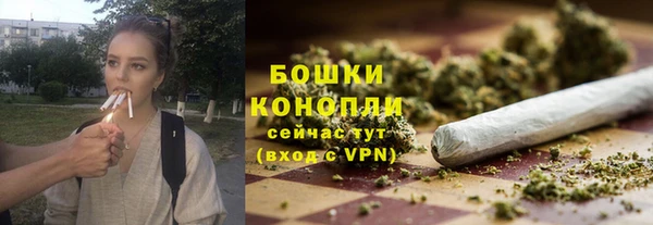 сатива Армянск