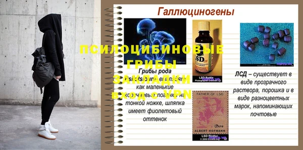 MDMA Premium VHQ Аркадак