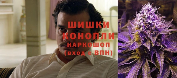 PSILOCYBIN Кирс